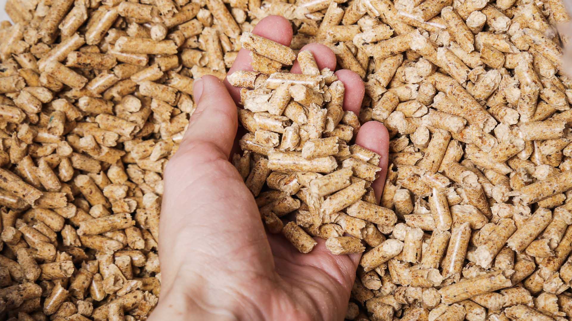 1 LKW-Ladung Premium Holzpellets – Bild 6
